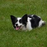 Janet Koehler - @baabark5 - Instagram