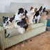 Janet Koehler - Facebook
