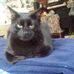 Janet Koerner - Facebook