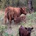 Janet Kohl Barton - Facebook