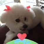 Janet Koons - @jlkoons51 - Instagram