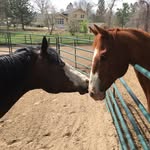Janet Kovacs - @janetkco6 - Instagram