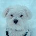 Janet Kriegel - Facebook