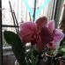 Janet Kroll - Facebook