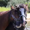janetkroll - @janetkroll - TikTok