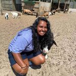Janet Lachance - @lachance3414 - Instagram