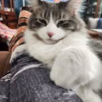Janet LaGrange - @lagrange_janet - Instagram