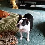 Janet L Landers - @janetlanders001 - Instagram