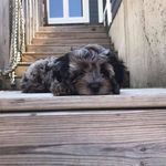 Janet Langdon Schaefer - @janet.l.schaefer - Instagram