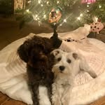 Janet Gallinetti Lank - @janee1011 - Instagram