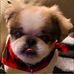 Janet Matyja Lanoue - Facebook