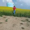Janeth Alaniz polanco - @janethpolancoalanz - TikTok