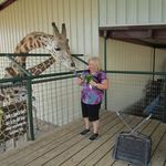 Janet Lapp Losek - @lapplosek - Instagram