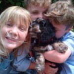 Jane Willis Latimer - @janewillislatimer - Instagram