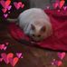 Janet Latimer - Facebook