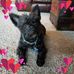 Janet Latimer Lefler - Facebook