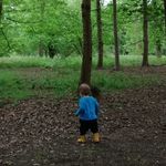 Janet Lavender - @lavenderforestschool - Instagram