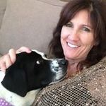 Janet Lavender - @janetlavender1 - Instagram