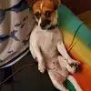 Janet - @janetlaxson - TikTok