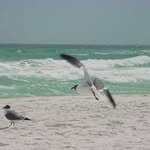 Jane Wellman Layfield - @jane.w.layfield - Instagram