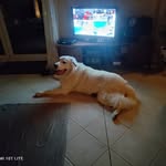 Janet Layug - @layug97 - Instagram