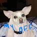 Janet Lea - Facebook