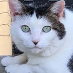 Janet Lea Riggs - @janet.l.riggs - Instagram