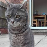 Jane leeson - @jane100777 - Instagram