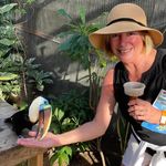 Janet Mason Leeson - @jml1953 - Instagram