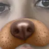 JanetLeeson - @janetleeson - TikTok