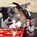 Janet Leith - Facebook