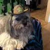 Janet Lesko - @janetlesko - TikTok