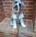 Janet Lessard - Facebook
