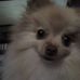 Janet Levasseur - Facebook