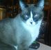 Janet Levasseur - Facebook