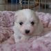 Janet Leveque Hacala - Facebook