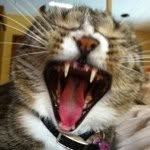 @janetlevine - Instagram