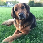 Janet Levin - @j.levin1125 - Instagram