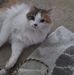Janet Lindley - Facebook