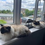 Janet Lister - @janet.lister33 - Instagram