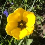 Janet Lister - @janet.lister.9615 - Instagram