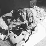 janet lister - @lister3238 - Instagram