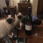 Janet Lister - @janet.lister3 - Instagram