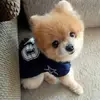 Janet_Littlejohn - @Janet_Littlejohn - TikTok