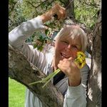 Janet Locke - @janetlocke.artist.storyteller - Instagram