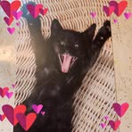 Janet Lockard - Facebook