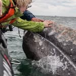 Janet Loftis - @thefarplaces - Instagram
