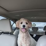 Jane Lofton - @miwar38579 - Instagram