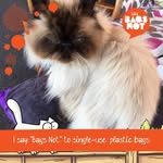 Janet Lord - @smudgey001 - Instagram