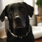 Janet Lord - @janet_e31 - Instagram